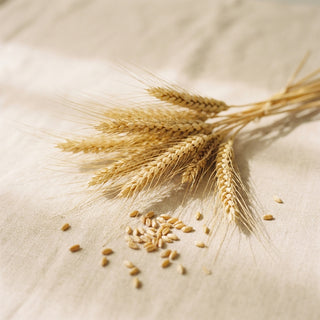 Wheat proteins